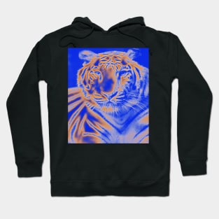 White Tiger from India - Orange colour Hoodie